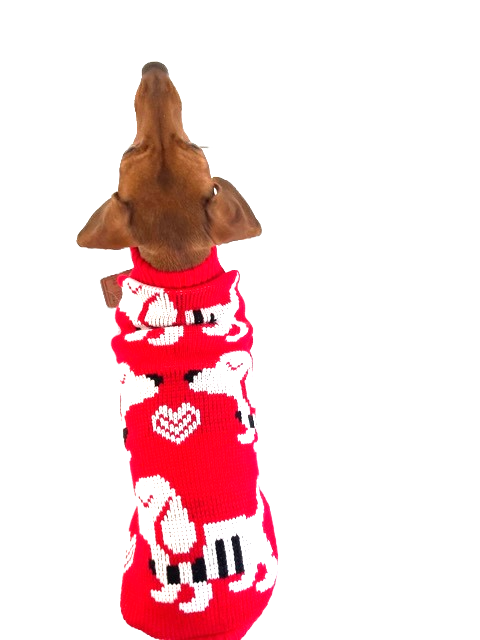 Miniatura: Sausage Dog Box Dachshund Red Dachshund Dog Jumper - Sausage Love