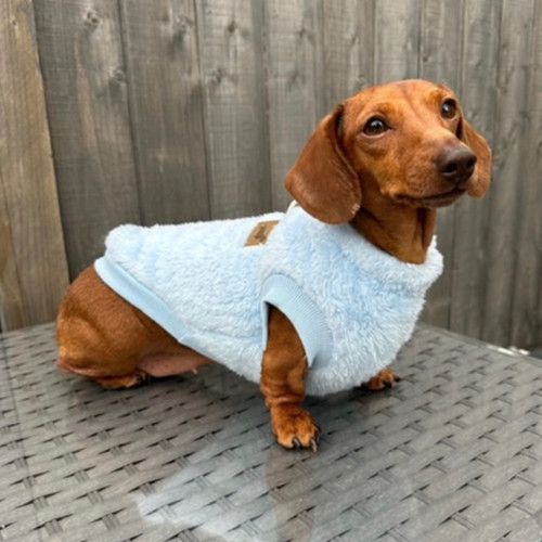Dachshund Xxs Sweaters For Dogs Cloud Blue Dachshund Snuggle
