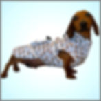 Blue Boys Waterproof Dachshund Coat For Male Sausage Dog