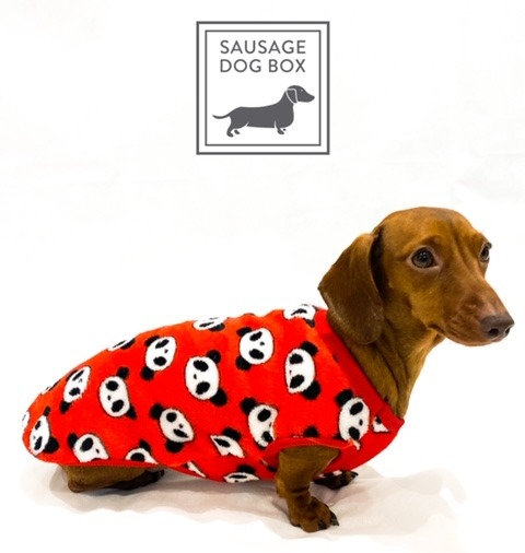 doxie pjs