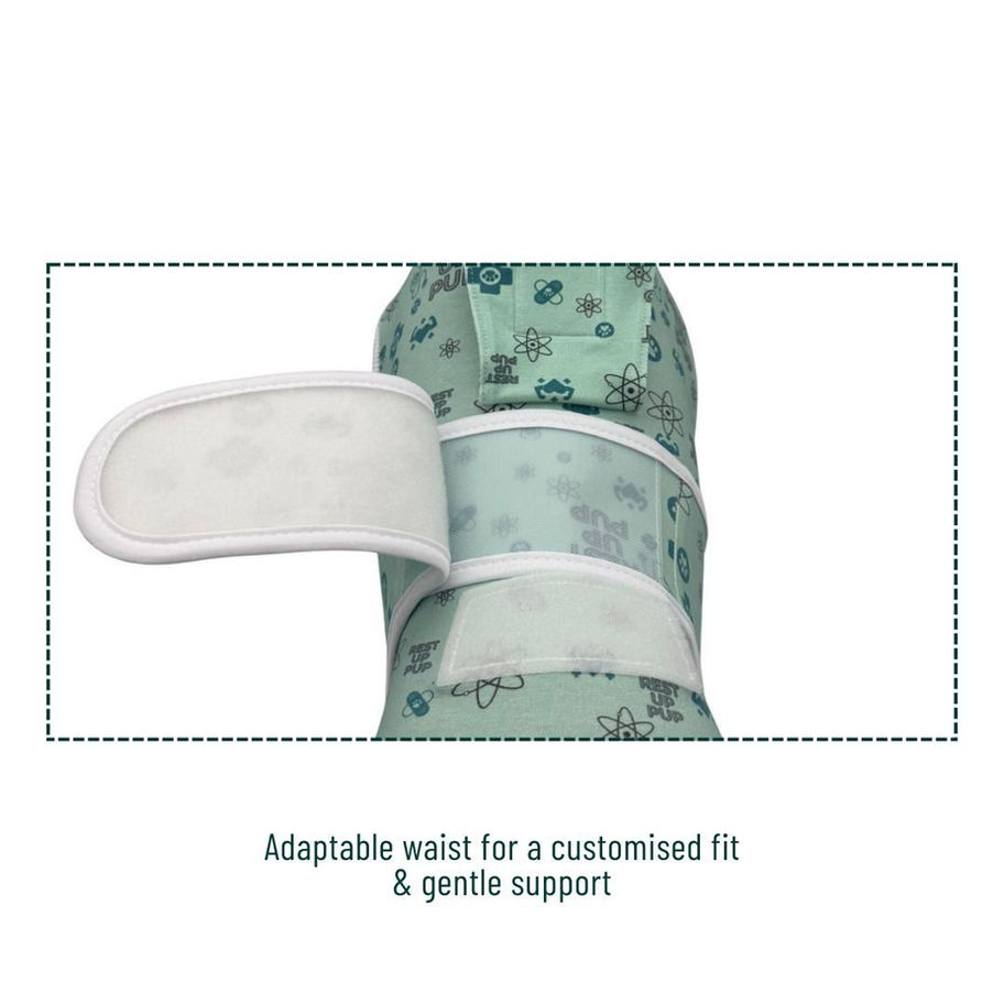 Flexible waist fastening on dog surgery suit for Alaskan Malamute