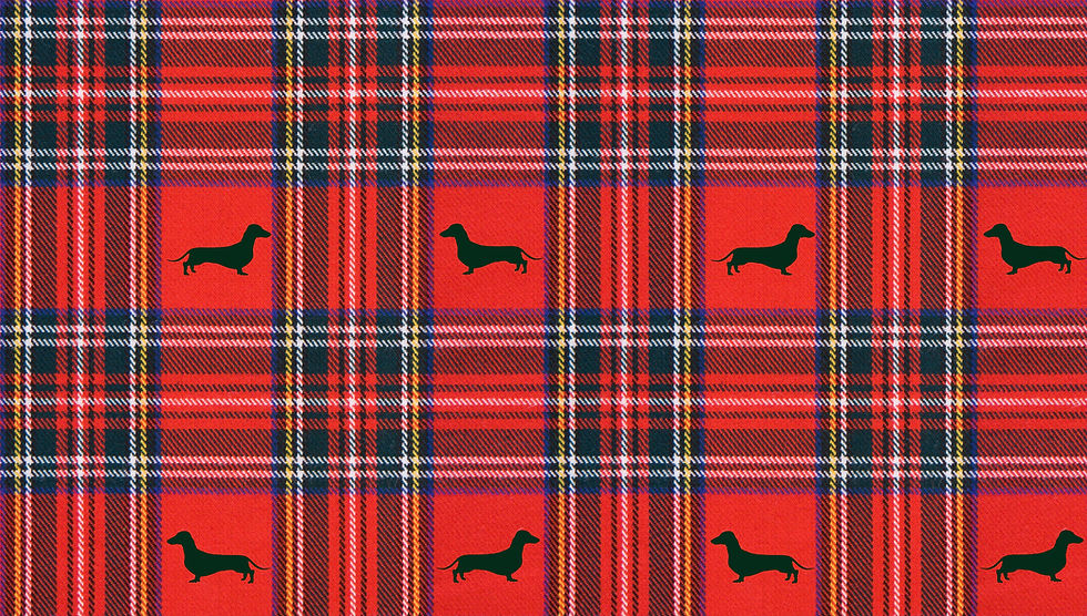 섬네일: red dachshund sausage dog box design print