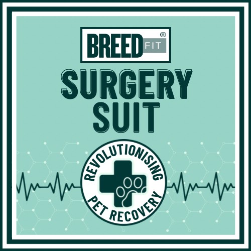 best surgery suit for dog and cat.jpg