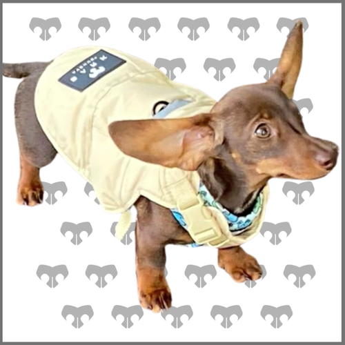 BARK AVENUE Luxury Ultimate Explorer Coat Stone Sausage Dog Box bark-avenue-luxury-ultimate-explorer-coat-stone-sausage-dog-box