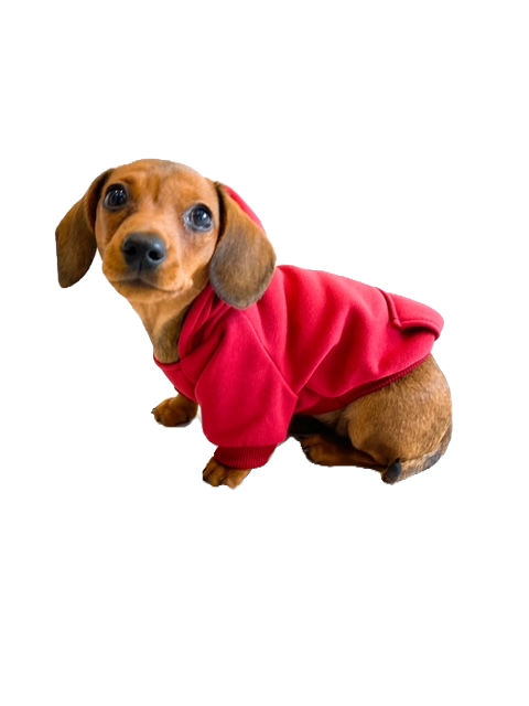 Миниатюра: Sausage Dog Box Burgundy Dachshund Hoodie