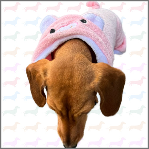 Sausage Dog Costume Piggy Oneise Outfit Sausage Dog Box sausage-dog-costume-piggy-oneise-outfit-sausage-dog-box