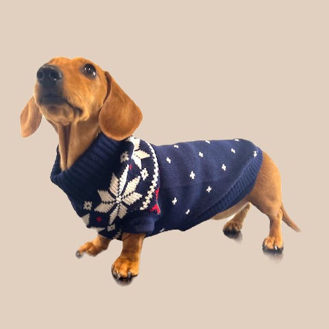 Miniatura: Jersey azul marino con estampado de perro salchicha de invierno