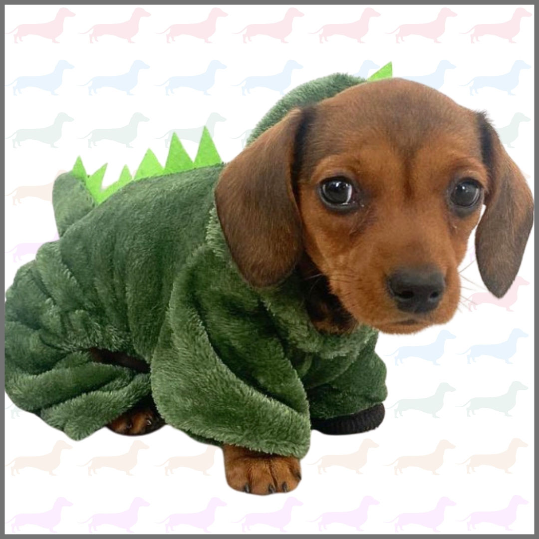 Sausage Dog Box Dachshund Dinosaur Outfit