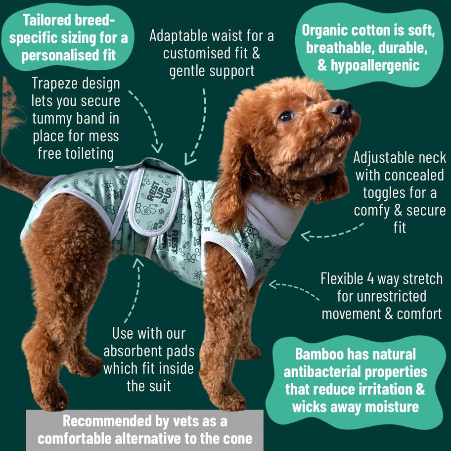 Recovery suit pro points diagram for West Highland Terrier as cone alternative