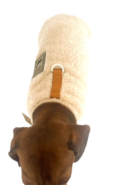 Thumbnail: Doxie Sweater