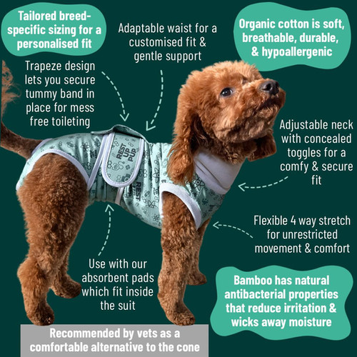 Borzoi Dog Surgery Suit | Bamboo Spay & Neuter Recovery Suit