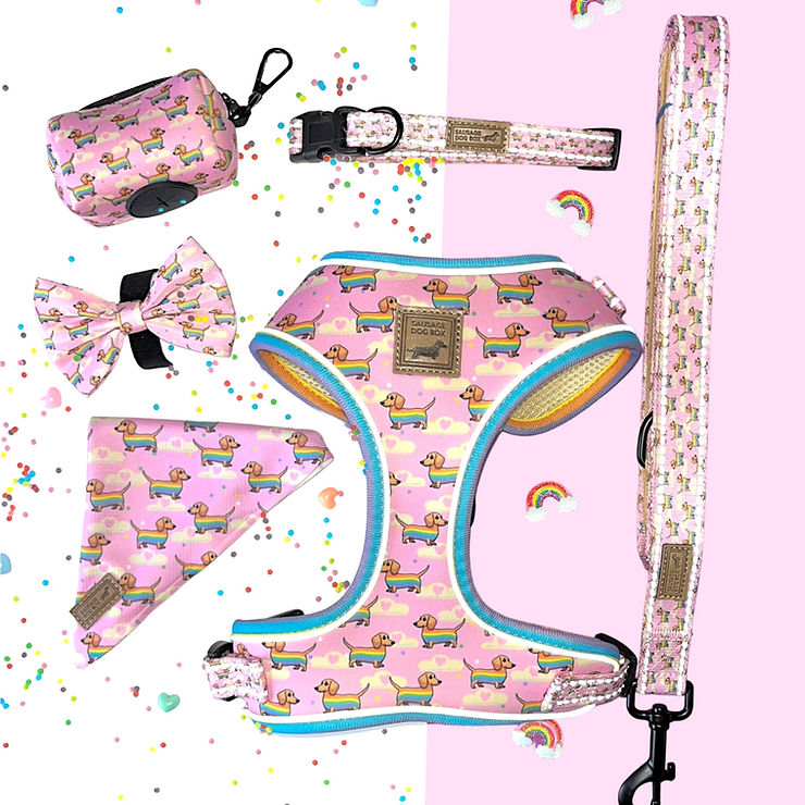 sausage dog box dachshund harness collection pink chasing rainbows
