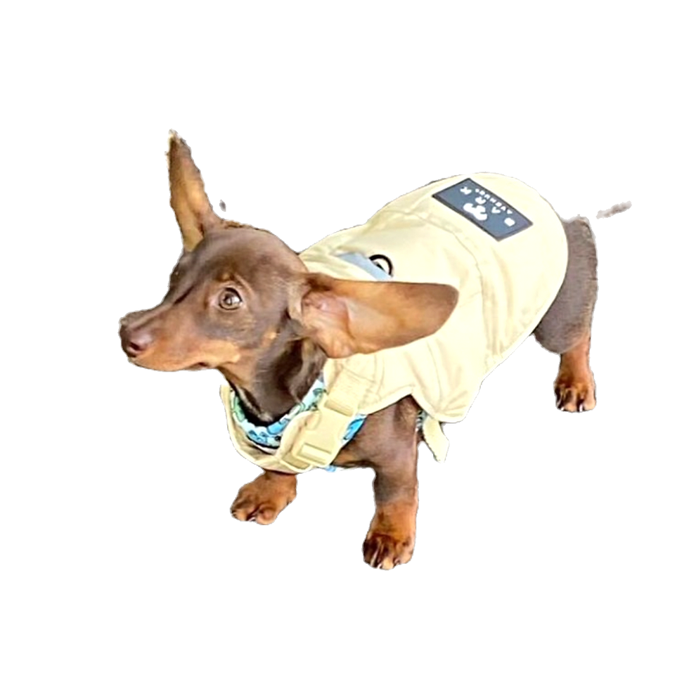 Thumbnail: BARK AVENUE Luxury Ultimate Explorer Coat  - Stone