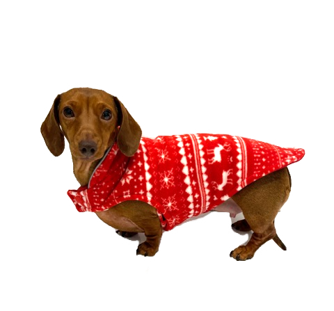Sīktēls: Sausage Dog Box Reversible Christmas Fleece Coat