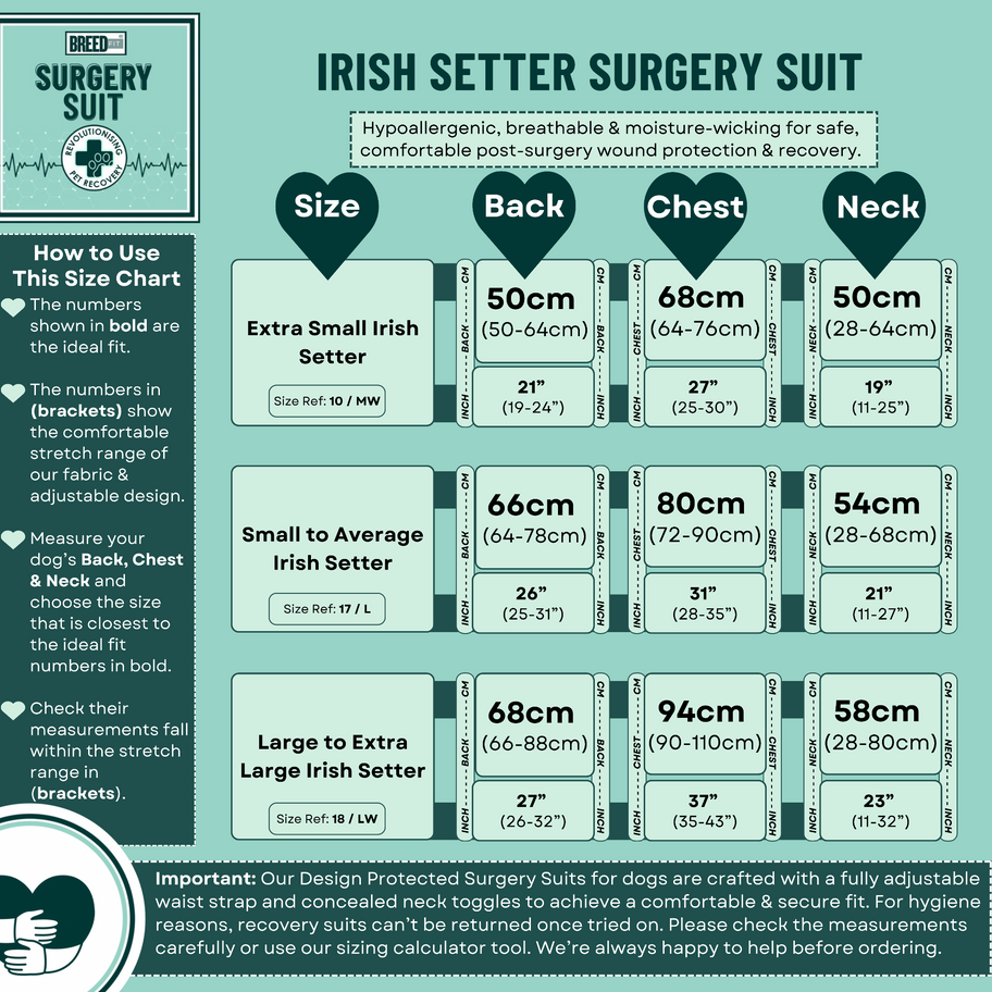 Dog recovery suit sizing information for Irish Setter