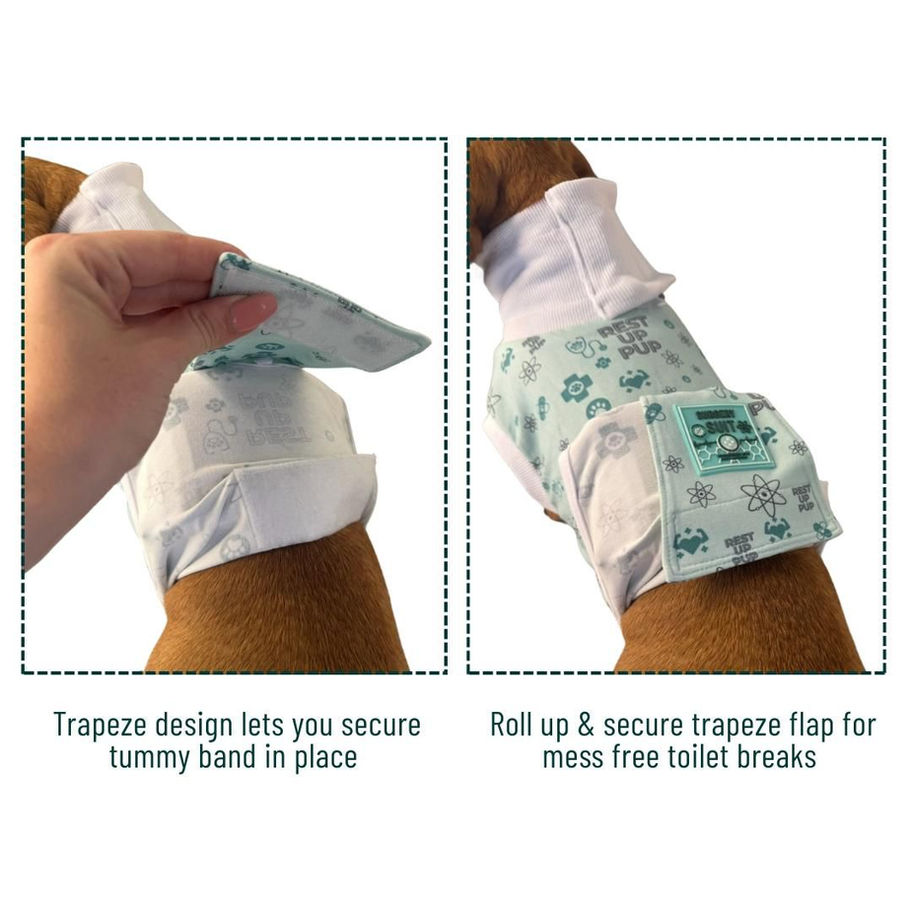 Recovery suit showing toileting flap for Welsh Corgi