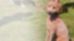 Goldendoodle Dog sitting down at York Dog Park
