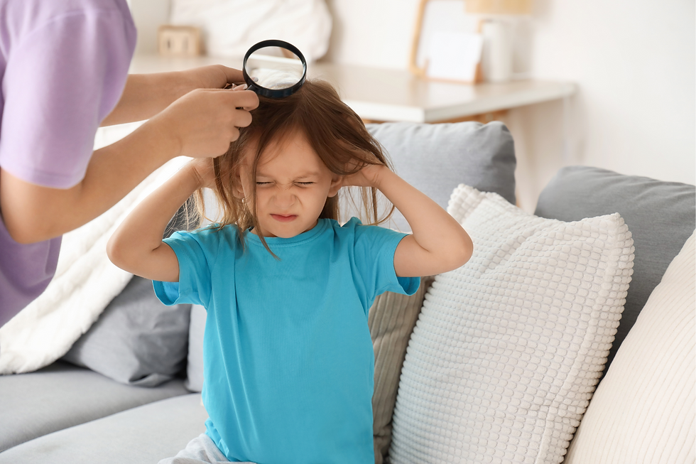 What Parents Should Know About Lice Return Policies in Schools