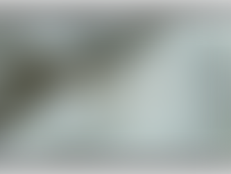 Can Lice Survive on Bedding and Clothes? What to Do