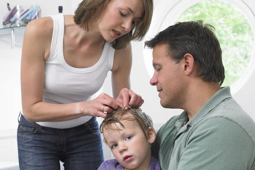 Understanding the Difference Between Live Lice, Nymphs, and Nits