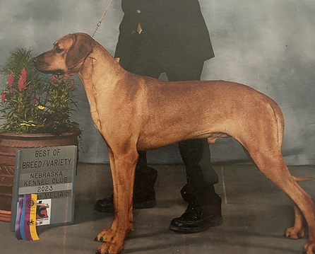 Screenshot 2025-12-02 at 2.40.33 PM.png