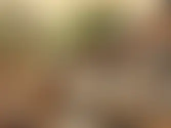 Kahve Kültürünün Tarihi: Çekirdekten Küresel Bir Fenomene