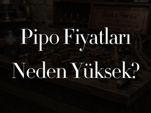 Pipo Fiyatları