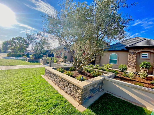 Landscape design