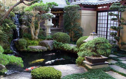 Zen Garden