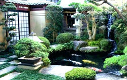 Zen Garden
