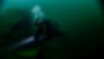 Thumbnail: Jacques Bianchi Marseille x Deepsea.EDC
