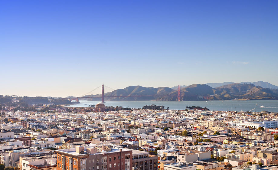 San Francisco best professional dog walkers dog walking Marina Cow Hollow Pacific Heights Laurel Heights Russian Hill.