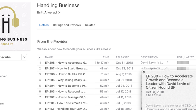Podcast guest episode: How to Accelerate Business Growth and Become a Leader with David Levin of Cit