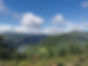 Laragh Glendalough Notes Week Beg 17th June