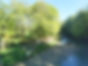Laragh Glendalough Notes Week Beg 16th June