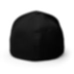 Thumbnail: Nondescript Celebretory FlexFit Hat