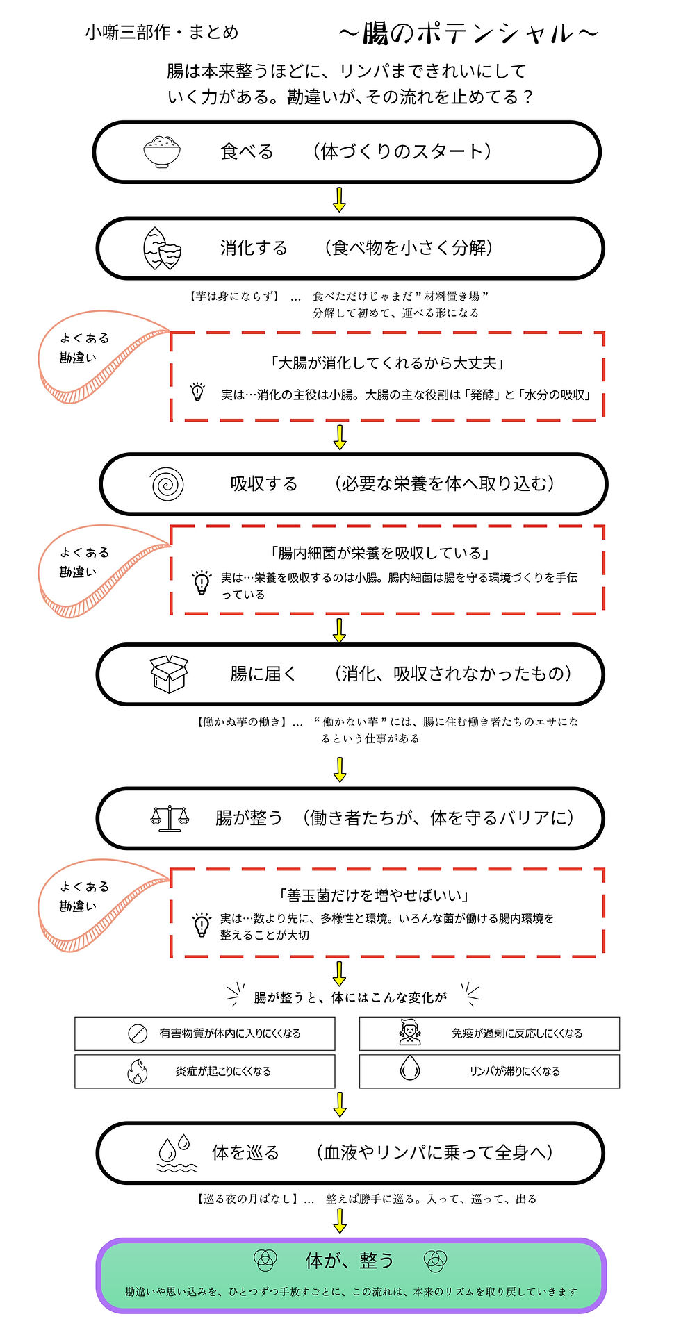 消化と吸収、三部作をまとめました