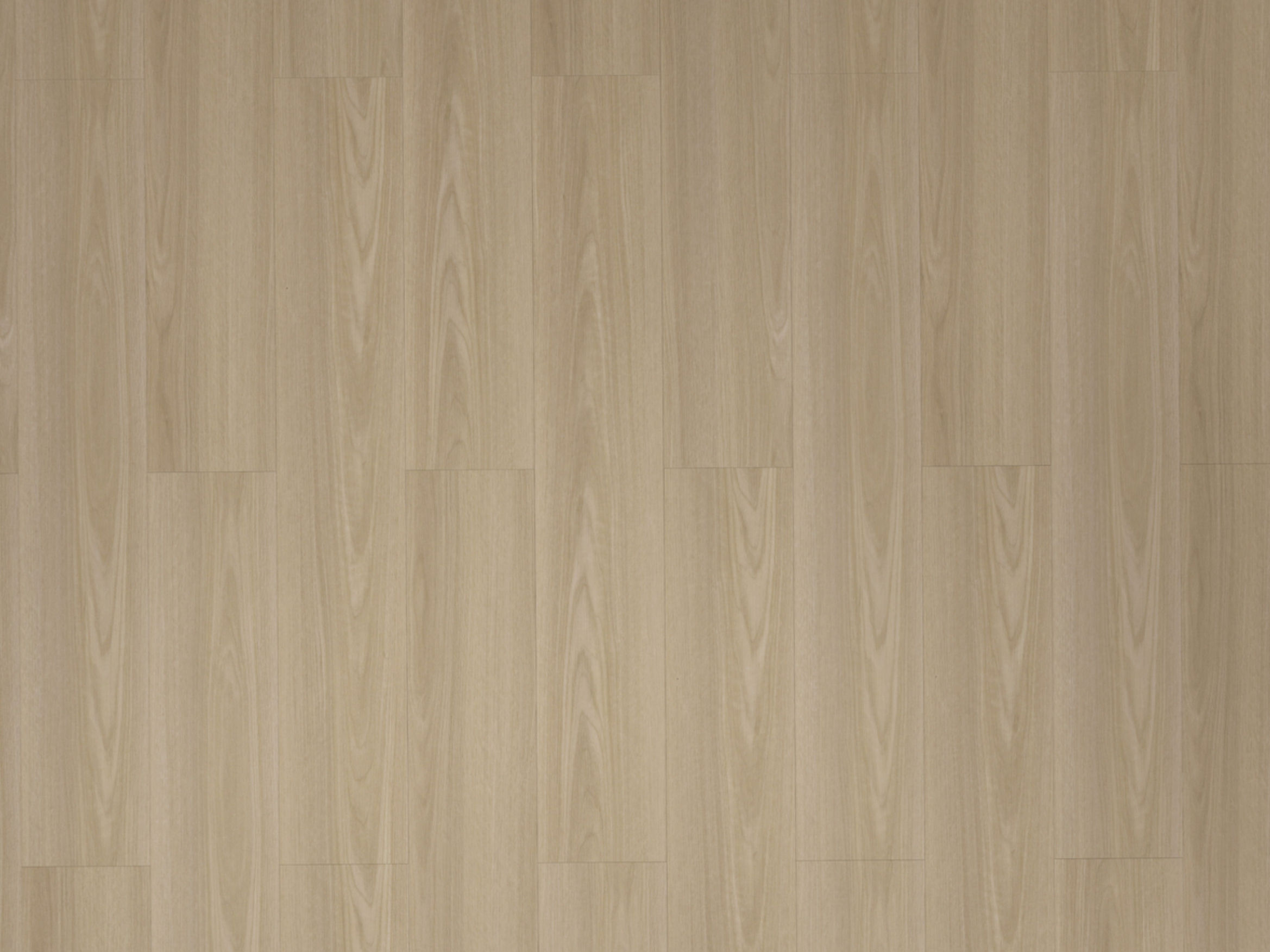 DEHOME - SPC 8 - DH9972