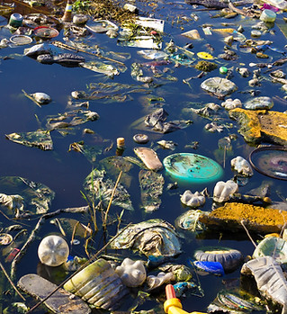 Contaminación ambiental