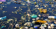 Contaminación ambiental