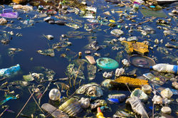 Environment Pollution