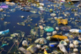 Environment Pollution