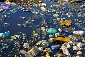 Environment Pollution