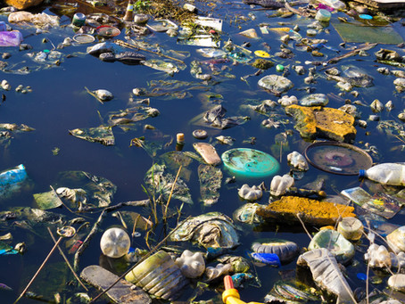 Handling Shipping Waste