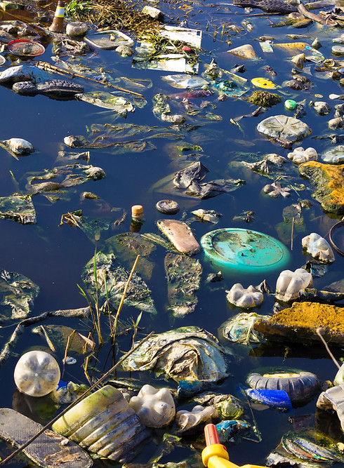 Environment Pollution