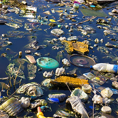 Environment Pollution