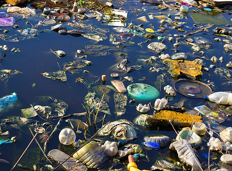 Environment Pollution