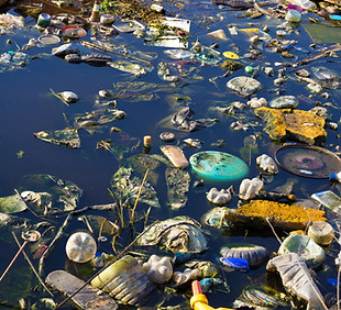 Environment Pollution