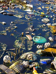 Environment Pollution