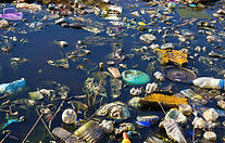 Environment Pollution